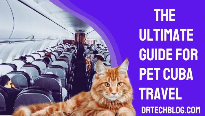 The Ultimate Guide for Pet Cuba Travel