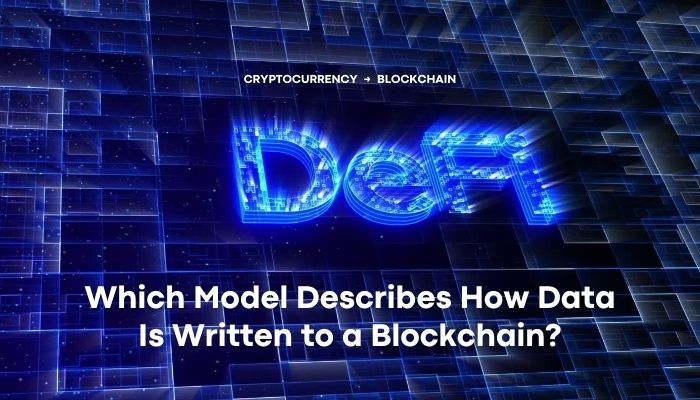 Which Model Describes How Data Is Written to a Blockchain