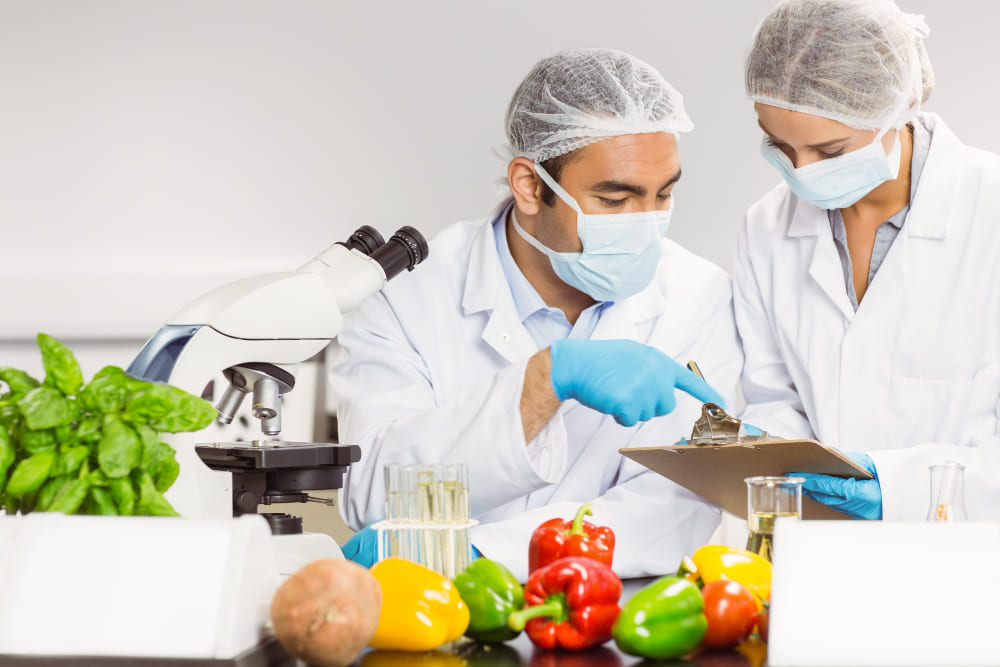 Food Safety - Tips for Keeping Your Food Safe and Compliant